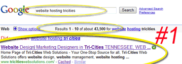 SEO Search Engine Optimization - Website Hosting TriCities
